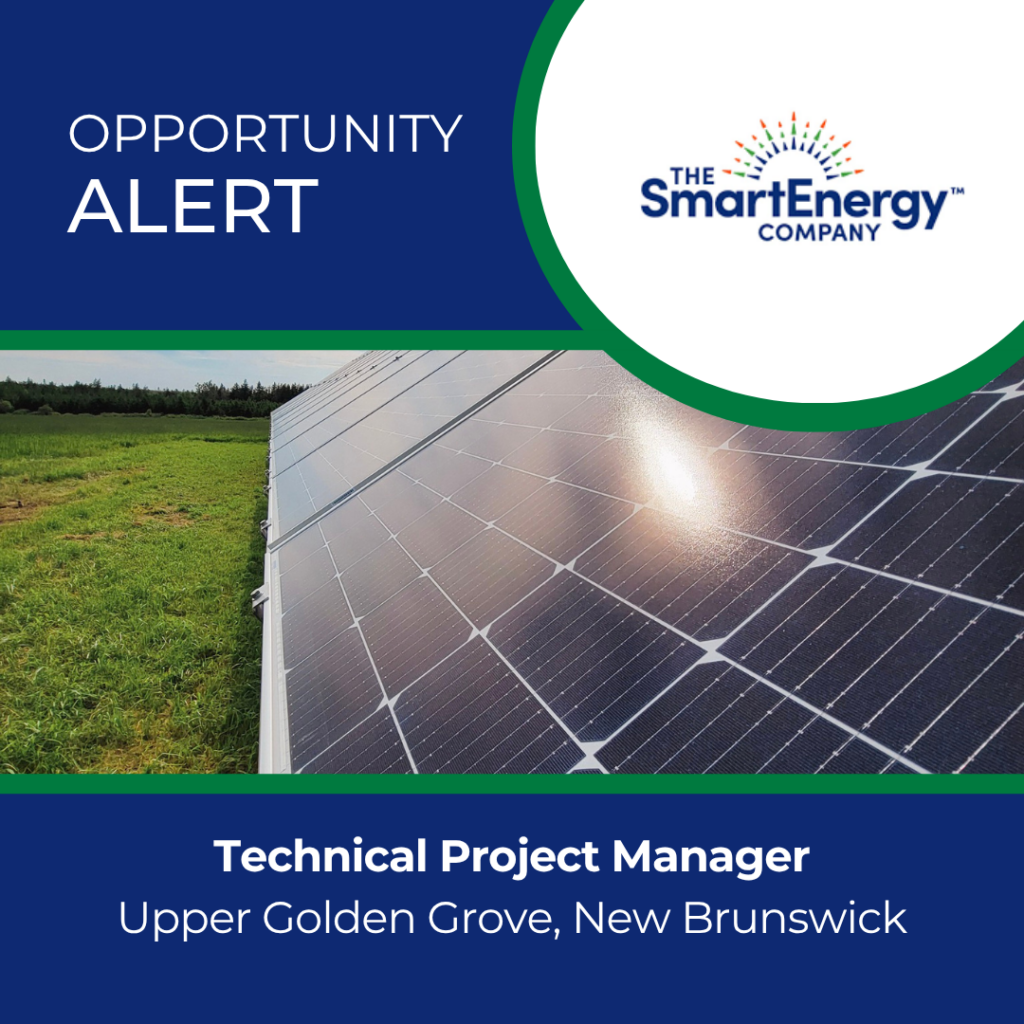 Technical Project Manager - The SmartEnergy Company (TSEC)